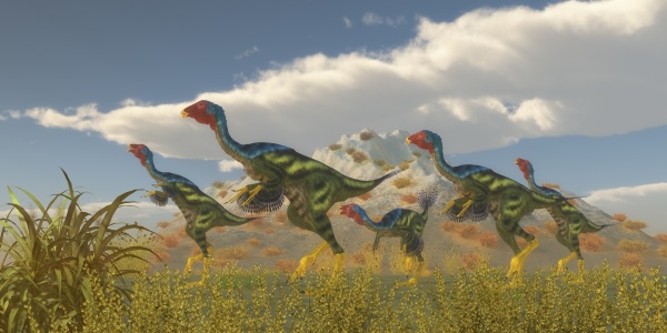 caudipteryx dinosaurflok