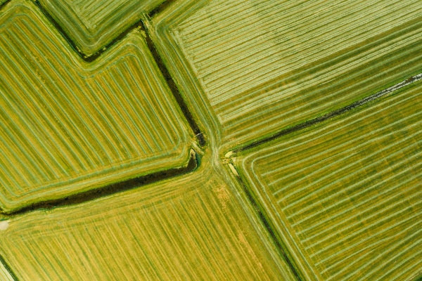 luftfoto af landbrugsjord i friesland holland