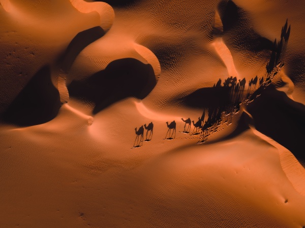 luftabstrakt billede af kameler og deres
