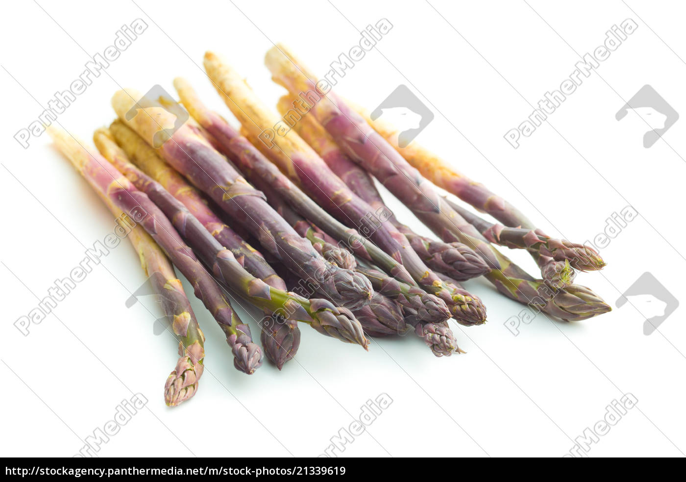 Frisk lilla asparges. - Royalty Free Image #21339619 PantherMedia