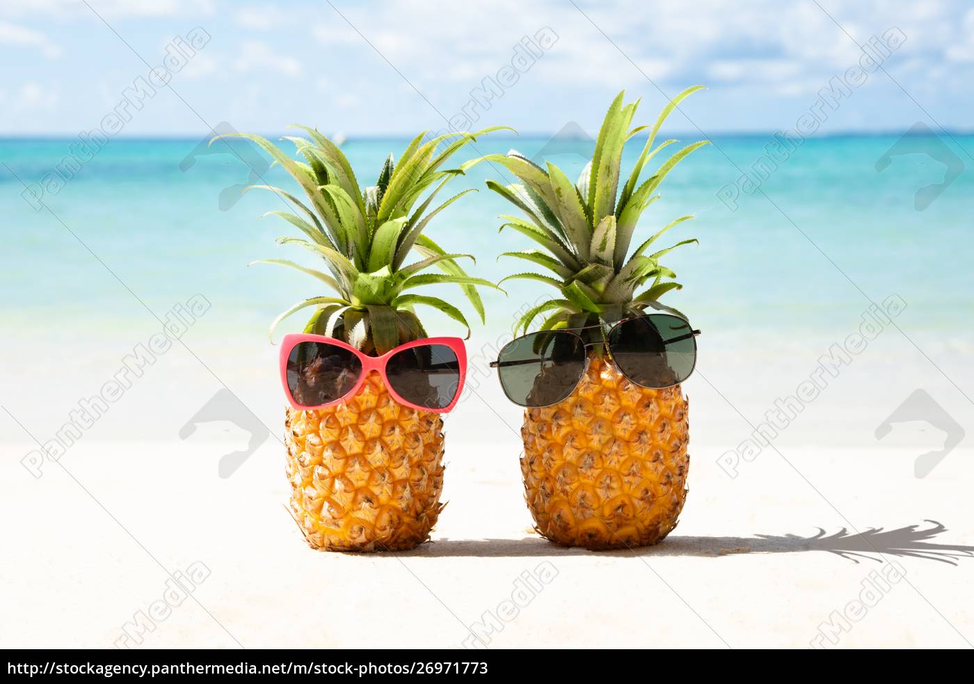 kromatisk Vilje musikkens To ananas med solbriller på stranden - Stockphoto #26971773 | PantherMedia  Billedbureau